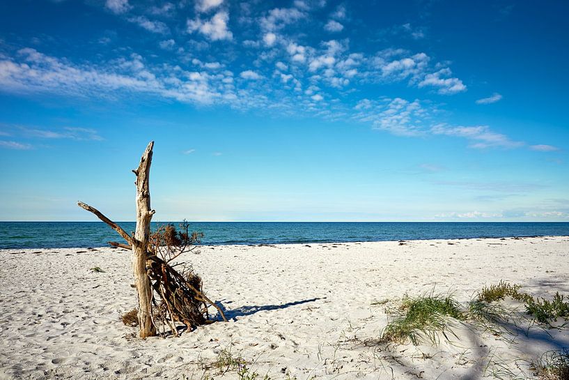 Am Weststrand auf dem Darß von Reiner Würz / RWFotoArt