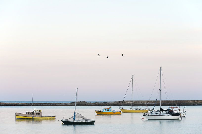 Oamaru von Martin de Bock