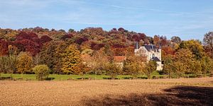 Schloss Schaloen