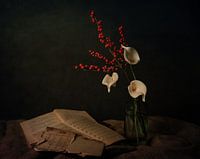 Callas and books