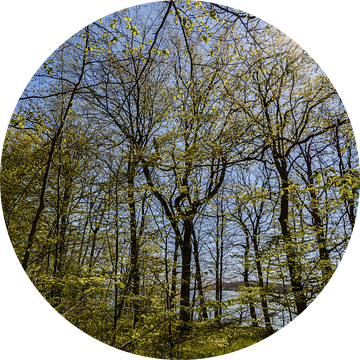 Fiets- en wandelpad langs het natuurstrand in de Goor