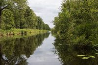 Weerribben