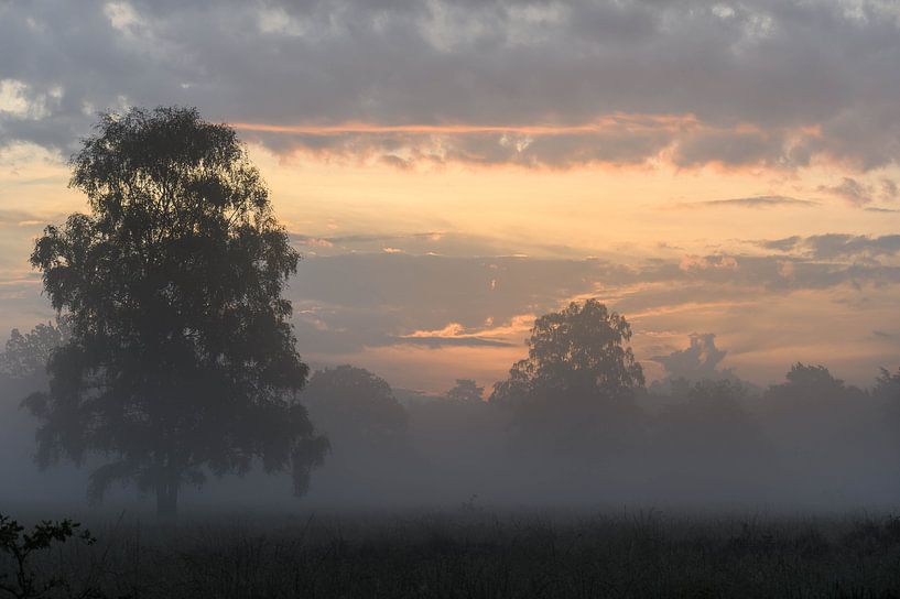 nevelige wolken van Tania Perneel