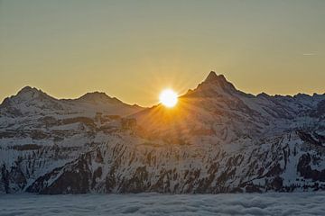 Sunrise on the Schreckhorn in winter in the Bernese Alps Switzerland