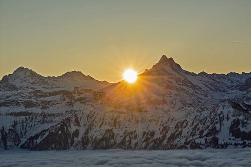 Zonsopgang op de Schreckhorn in de winter in de Berner Alpen Zwitserland