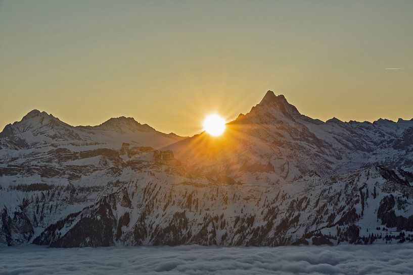 Sonnenaufgang am Schreckhorn im Winter in den Berner Alpen Schweiz von Martin Steiner