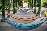 Pura vida