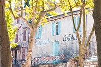 The Provencal