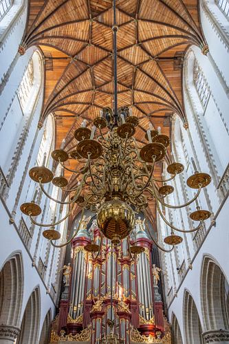St. Bavo Haarlem