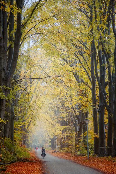 Herbstallee mit Radfahrer. von Anneke Hooijer