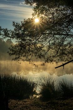 Autumn morning in the Venner Moor