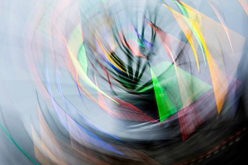 De Boom in Beweging van Tim Demel