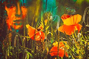 Irgendwo auf dem Blumenfeld träumt ein Mädchen