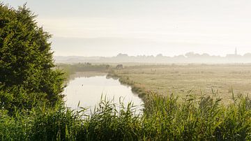 Terschelling op zijn mooist! van Dirk van Egmond