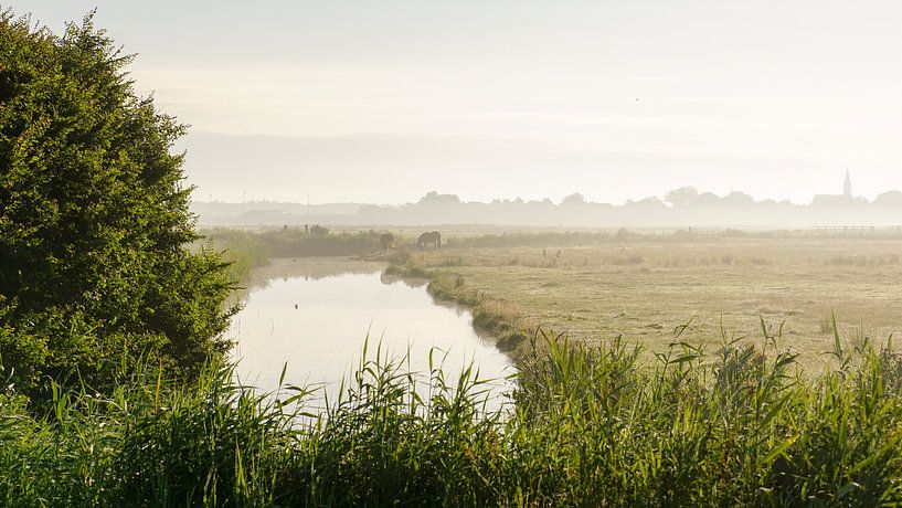 Terschelling op zijn mooist! von Dirk van Egmond