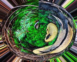 bosmos, de wereld is rond by Auke Plat