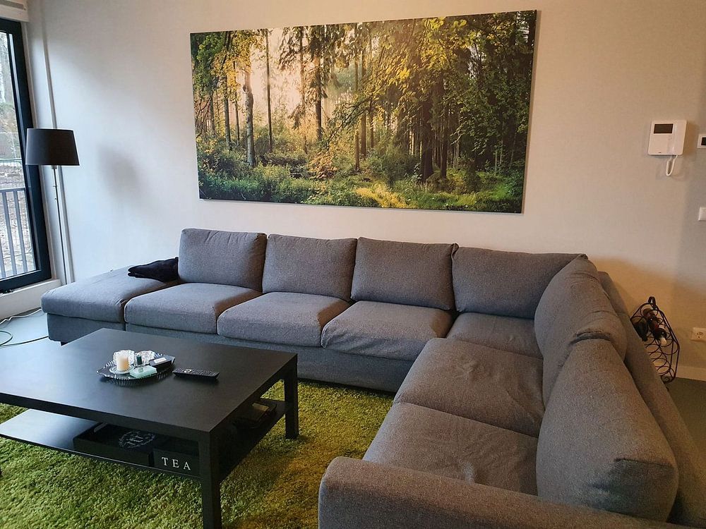 Sunrise in the forest  by Günter Albers 