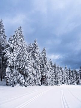 Landschap in de winter in het Thüringer Woud bij Schmied van Rico Ködder