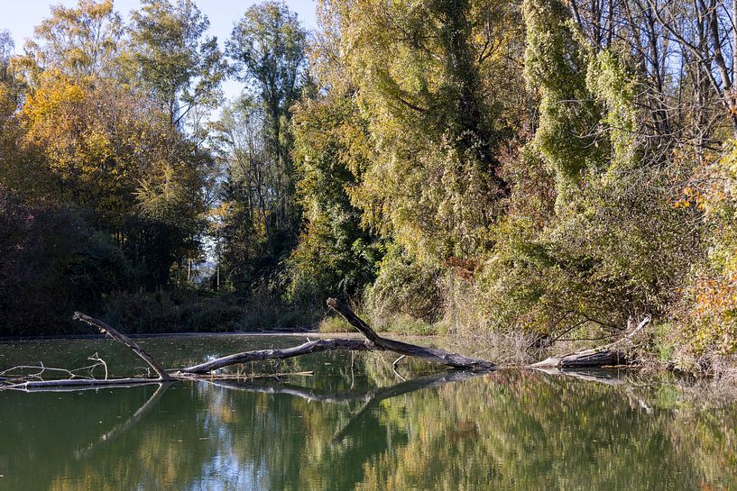 Small idyllic lake by Christoph Schaible