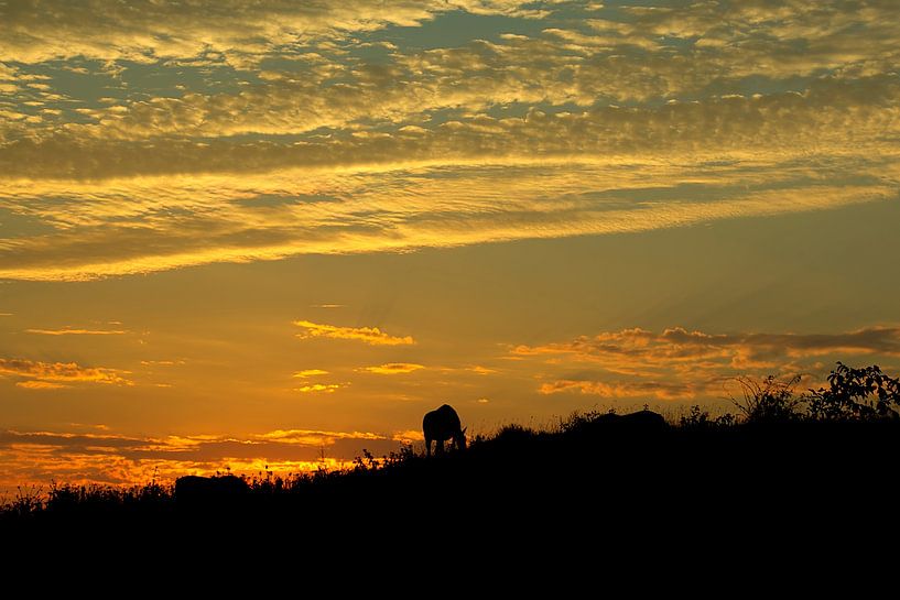 The sky is the limit van Marc Crutzen