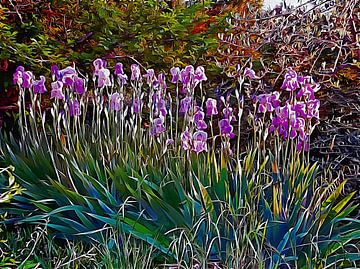 Impressies van een Iris zonsondergang van Dorothy Berry-Lound