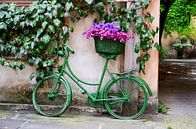 I want to ride my bicycle van Jaco Verheul thumbnail
