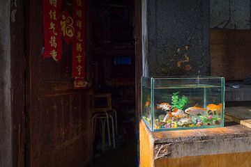 Aquarium met goudvissen op straat in China van Ger Beekes