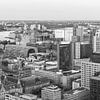 La vue imprenable sur la ligne d'horizon de Rotterdam sur MS Fotografie | Marc van der Stelt