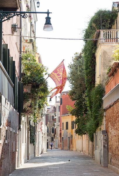 Venice by heidi borgart