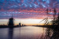 Sunrise Kinderdijk