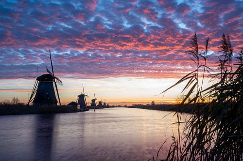Zonsopkomst Kinderdijk