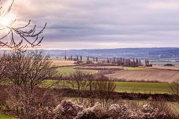 Petite Toscane sur Rob Boon