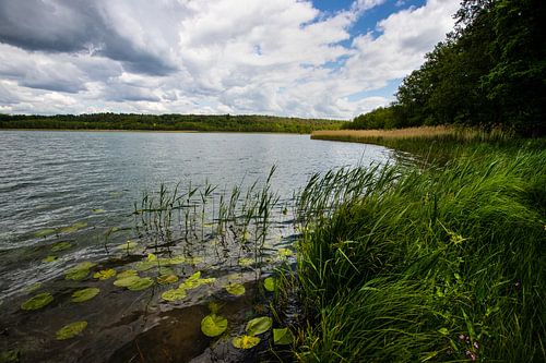 Scharmützelsee in Buckow, Brandenburg