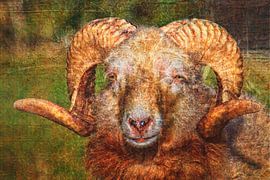 Schaf mit Hörnern, kreativ gestaltet von Marjolein Deelen