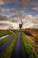 The road to the Broekmolen