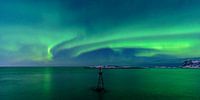 Aurore polaire dans le ciel nocturne du nord de la Norvège par Sjoerd van der Wal Photographie Aperçu