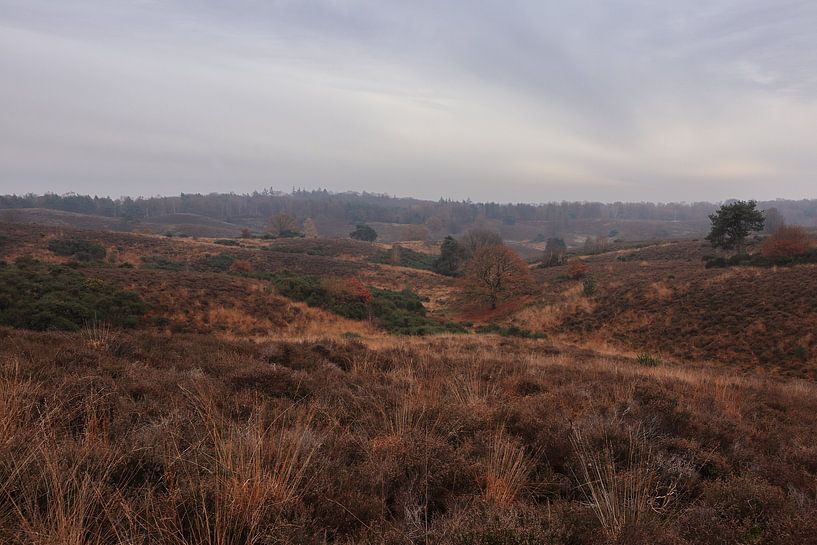 Landscape at the Posbank by Sander Miedema