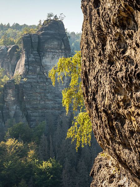 Bärenhornterrasse, Sächsische Schweiz - Heringstein von Pixelwerk
