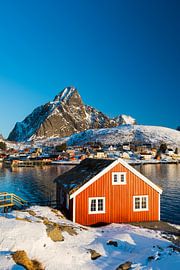 Typische rote Fischerhütte, Rorbu, bei Reine auf den Lofoten Inseln im Winter mit Schnee von Robert Ruidl