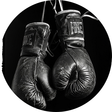 Oude glamour van bokshandschoenen van Poster Art Shop