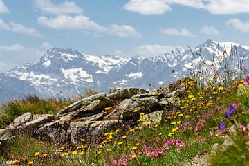 Uitzicht vanaf een wandelpad op de Jauffenpas, Zuid-Tirol van Jani Moerlands