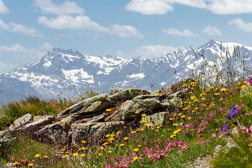 Uitzicht vanaf een wandelpad op de Jauffenpas, Zuid-Tirol