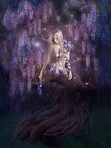 Wisteria