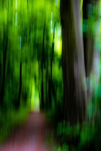 Waldweg mit Bäumen abstrakt