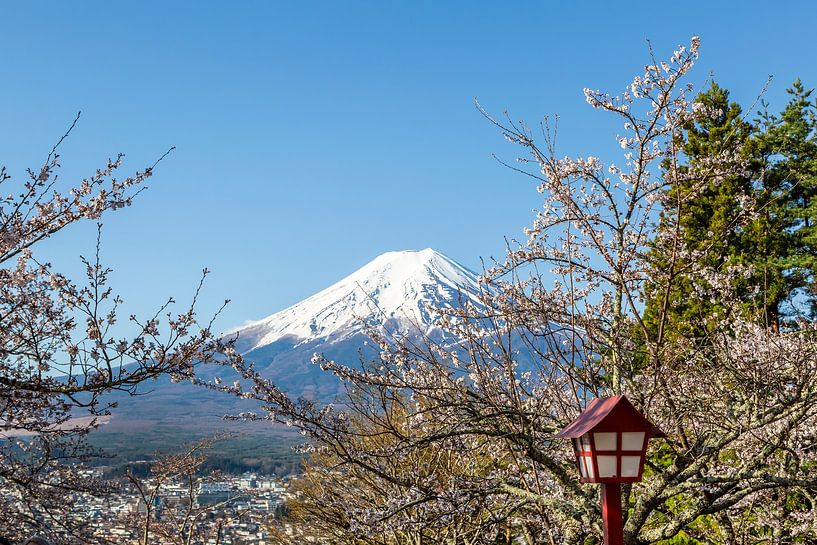 Fuji tussen bloeiende takken in de lente van Melanie Viola
