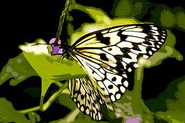 Paper butterfly on plant by Michar Peppenster
