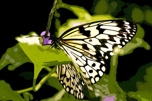 Papiervlinder op plant