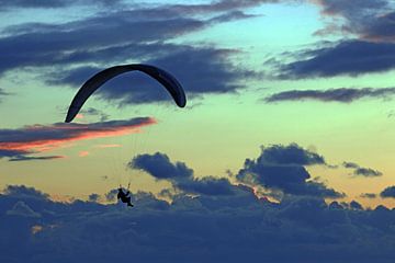 Paraglider by sunset van Yvonne Steenbergen