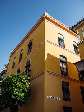 Straßenszene in Sevilla von Dayenne van Peperstraten