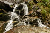 Riesloch Rieslochfälle bei Bodenmais, Bayern 7 von Jörg Hausmann Miniaturansicht